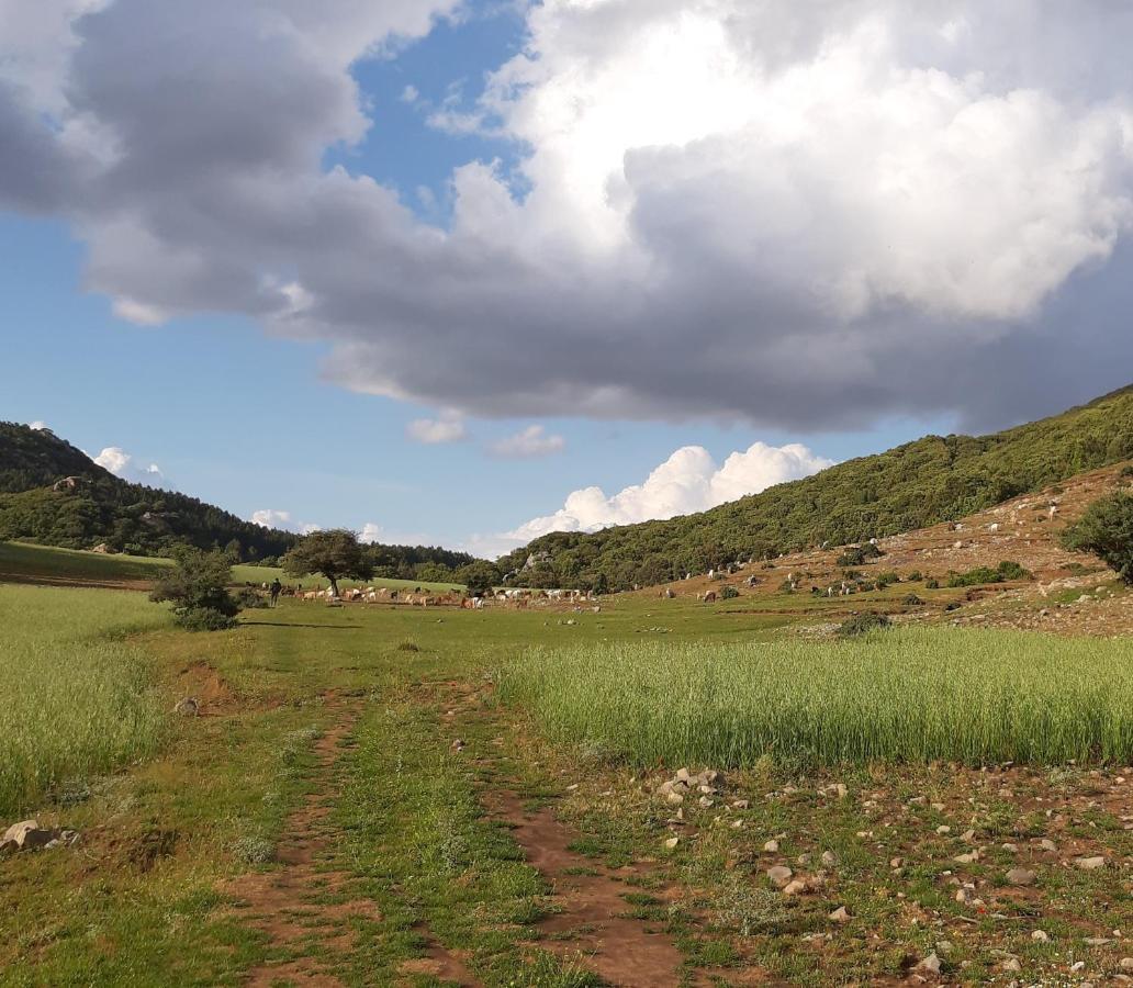 Tazekka Parc Hotel Taza Dış mekan fotoğraf
