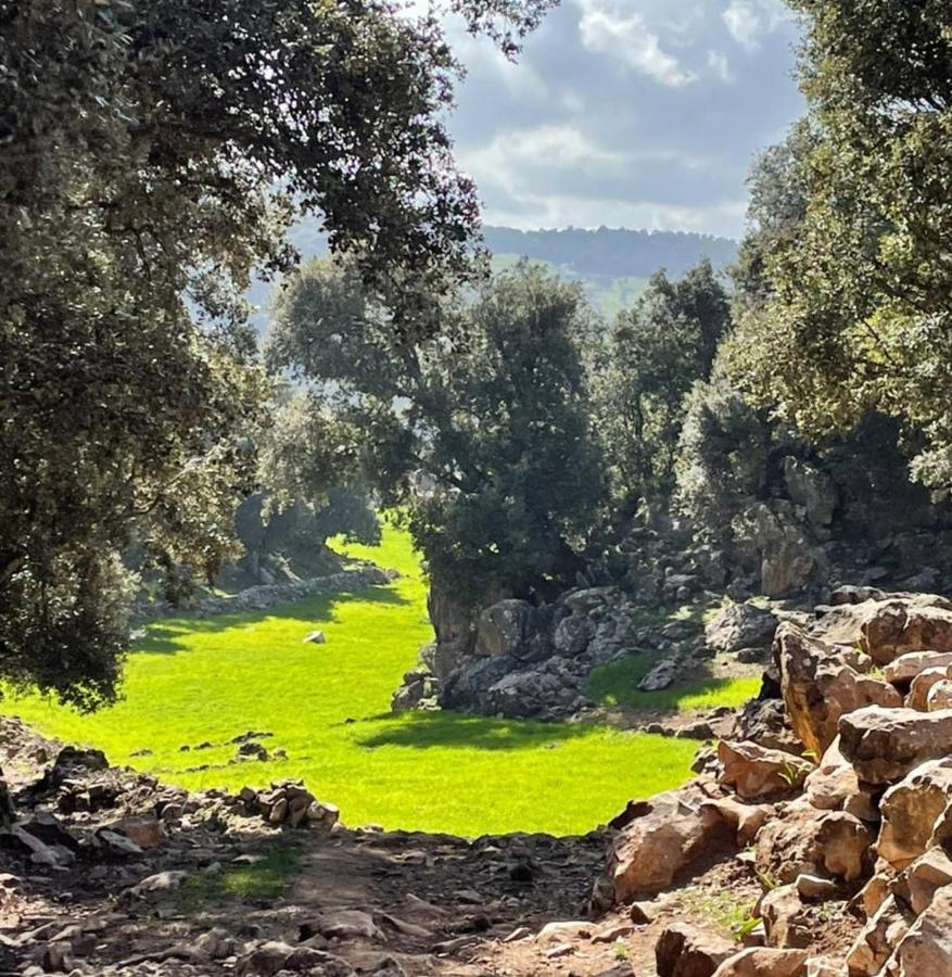Tazekka Parc Hotel Taza Dış mekan fotoğraf
